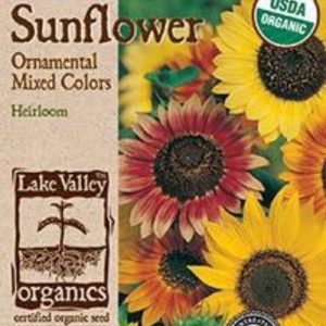 SEED SUNFLOWER ORNAMENTAL MIX organic