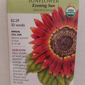 SEED SUNFLOWER EVENING SUN organic