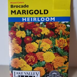 SEED MARIGOLD BROCADE