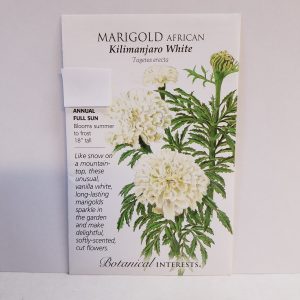 SEED MARIGOLD KILIMANJARO WHITE