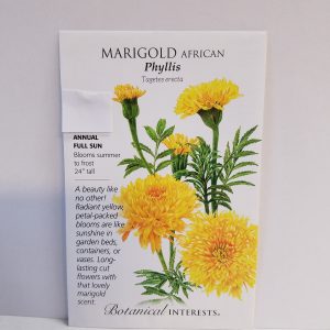 SEED MARIGOLD PHYLLIS