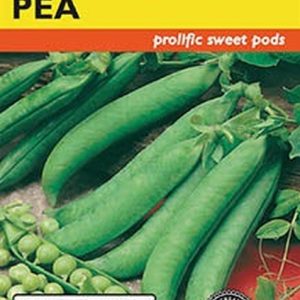 SEED PEA SUGAR DADDY SNAP