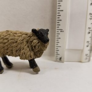 Sheep Shaggy Black Head