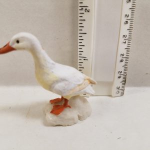 Duck Standing ast