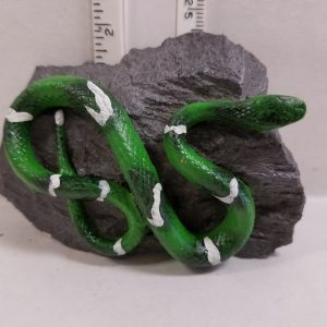 Snake on Rock Green & White