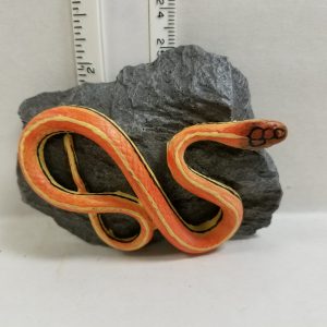 Snake on Rock Orange & Yellow