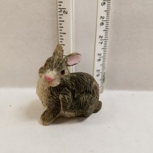 Rabbit Grey Scratching