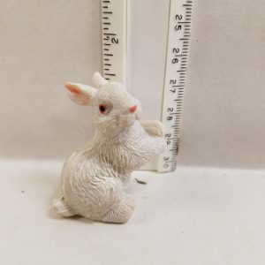 Rabbit White Setting Up
