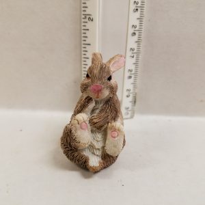 Rabbit Setting on Backside