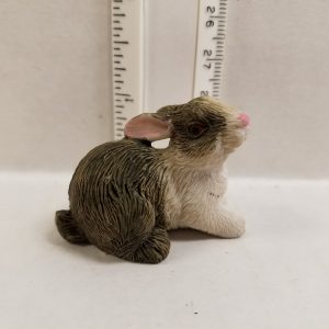 Rabbit Gray & White Setting