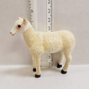 Sheep Standing medium