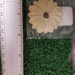 Stepping Stone Flower White