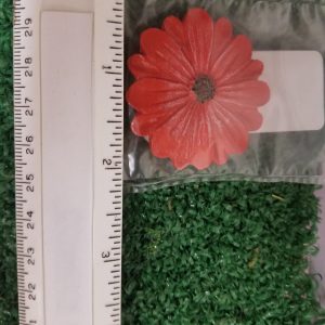 Stepping Stone Flower Red