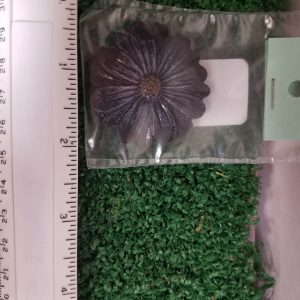 Stepping Stone Flower Black