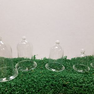 Cloche Glass Set
