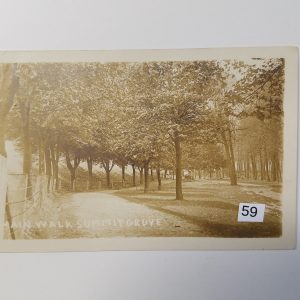 New Freedom Summit Grove Main Walk (real photograph card) #59