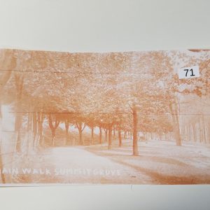 New Freedom Summit Grove Main Walk (copy of the real photograph card) #71